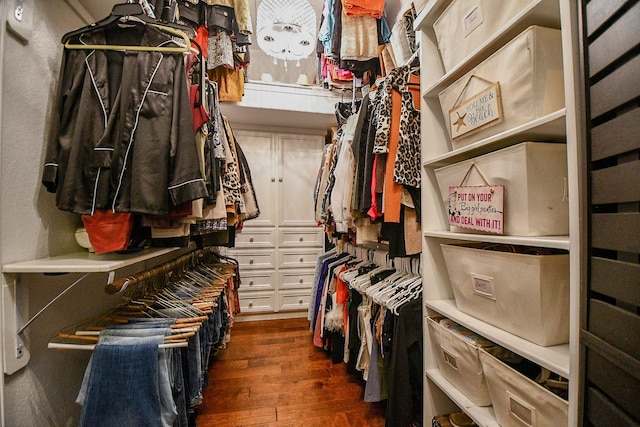 spacious closet featuring dark wood-style floors