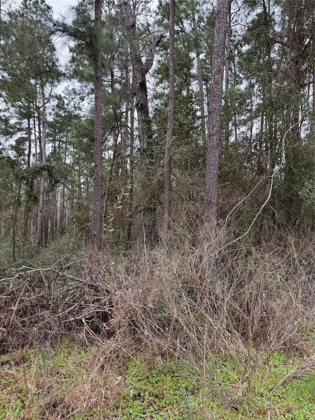 Listing photo 3 for LOT68 Holly Dr, Onalaska TX 77360