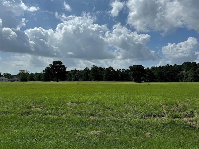 Listing photo 3 for TBD016 Westlake, Trinity TX 75862