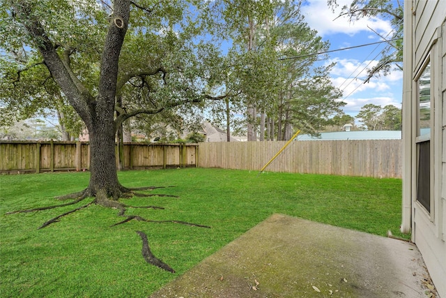 view of yard with a fenced backyard