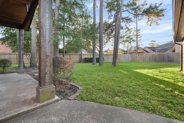 view of yard with a fenced backyard and a patio