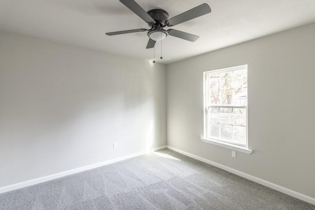 empty room featuring carpet, baseboards, and a ceiling fan