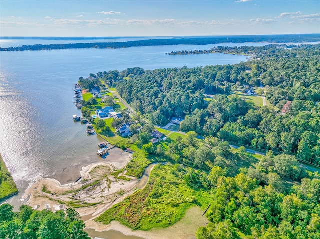 birds eye view of property featuring a water view and a wooded view