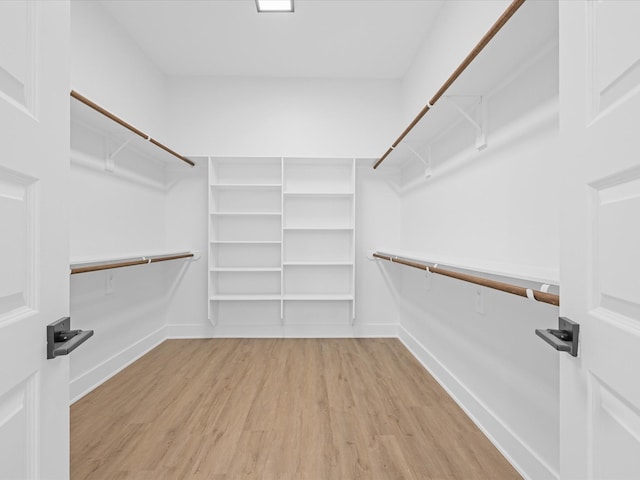 spacious closet featuring light wood-type flooring