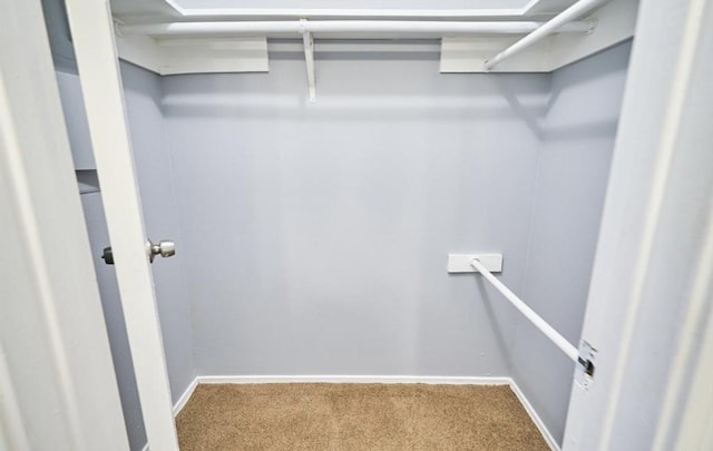 spacious closet with carpet flooring