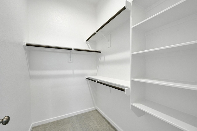 spacious closet with light carpet