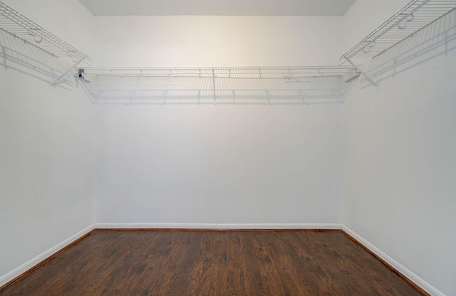 spacious closet featuring dark wood finished floors