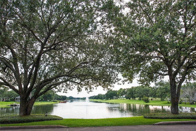 31 Crest Gate, Houston, TX 77082 - water view