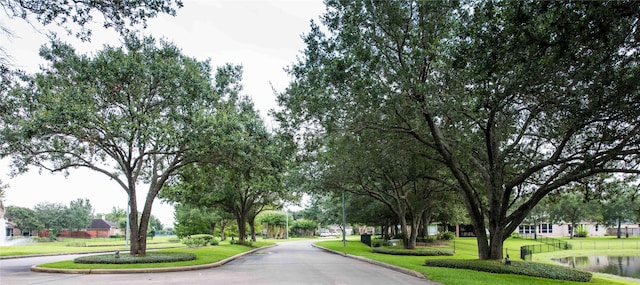 31 Crest Gate, Houston, TX 77082 - view of asphalt street featuring curbs