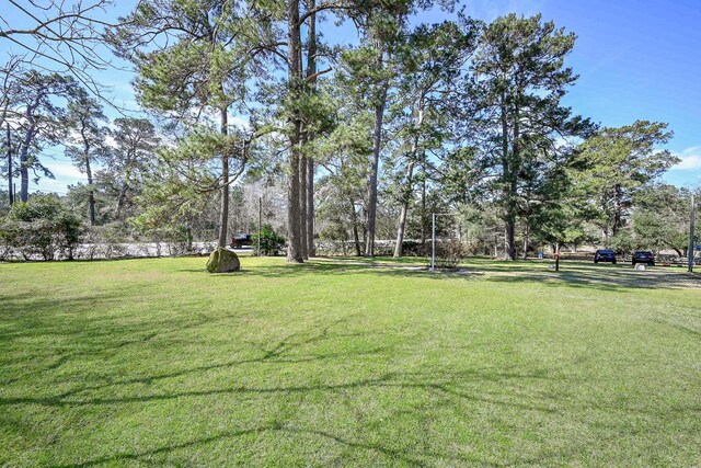 10919 Fm 1485th Rd, Conroe, TX 77306 - photo 41