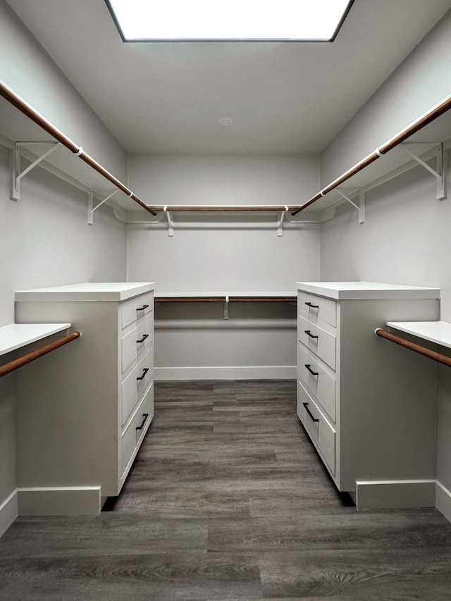 spacious closet featuring dark wood finished floors