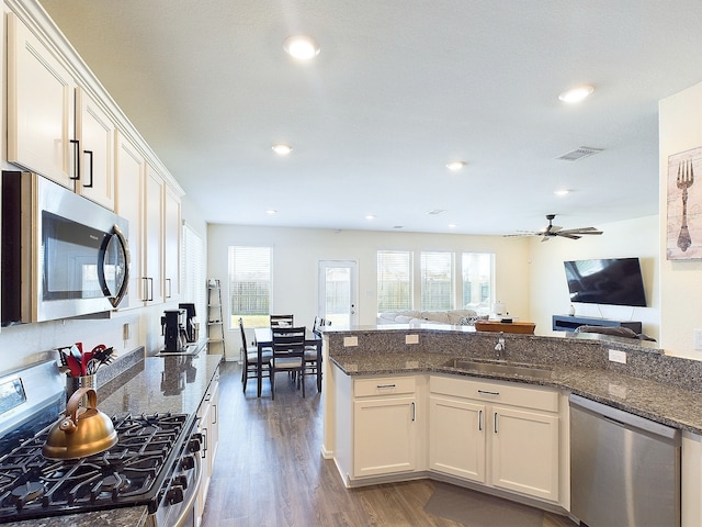 kitchen with stainless steel appliances, a healthy amount of sunlight, a sink, and dark wood-style floors