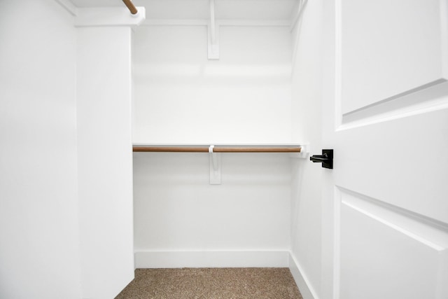 spacious closet with carpet floors