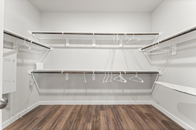 spacious closet featuring dark wood-style floors