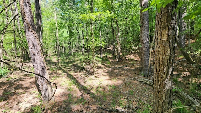 TBD-2 US190 Rd, Point Blank, TX 77364 - photo 6