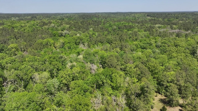 TBD-2 US190 Rd, Point Blank, TX 77364 - photo 7