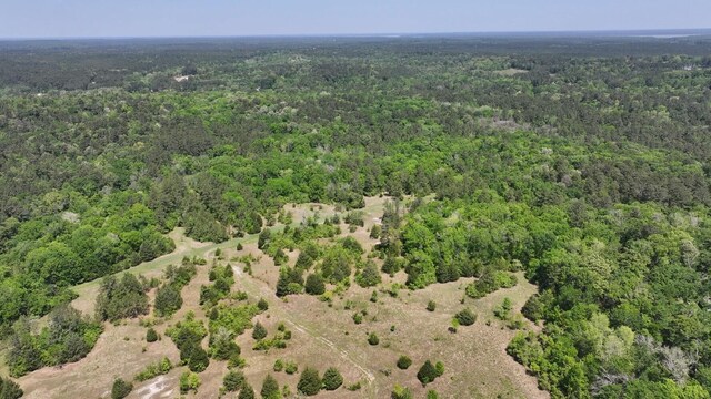 TBD-2 US190 Rd, Point Blank, TX 77364 - photo 10