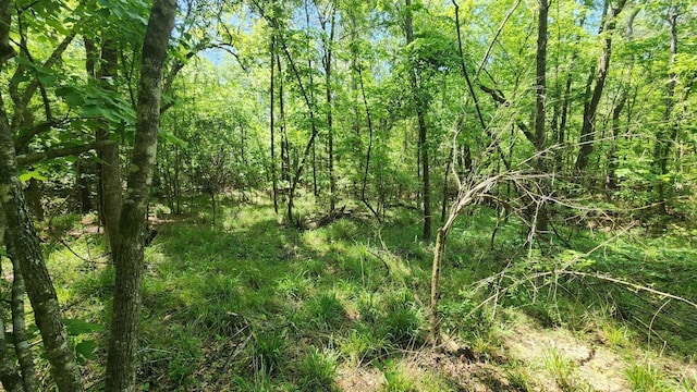 TBD-2 US190 Rd, Point Blank, TX 77364 - photo 11