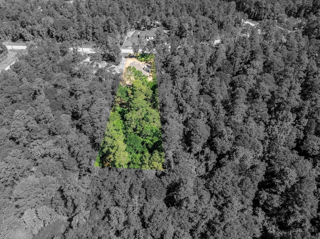 234 Feldspar Ln, Huntsville, TX 77340 - aerial view with a view of trees