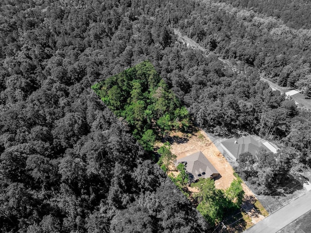 234 Feldspar Ln, Huntsville, TX 77340 - bird's eye view featuring a view of trees
