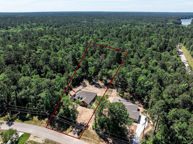 234 Feldspar Ln, Huntsville, TX 77340 - drone / aerial view featuring a view of trees