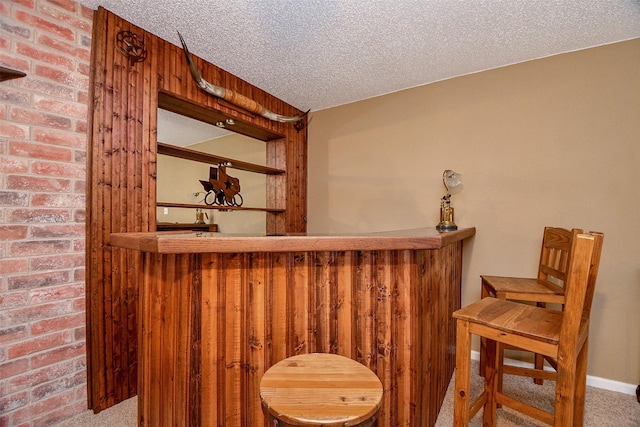 bar featuring carpet, baseboards, a textured ceiling, and a dry bar