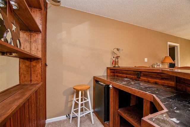 bar featuring carpet flooring, a textured ceiling, and baseboards