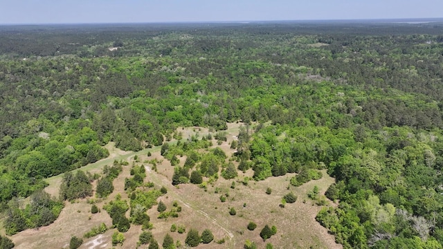 TBD-3 Felix Currie Rd, Point Blank, TX 77364 - photo 19