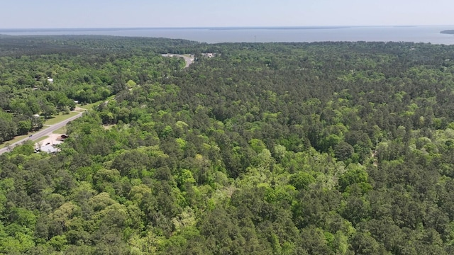 TBD-3 Felix Currie Rd, Point Blank, TX 77364 - photo 20