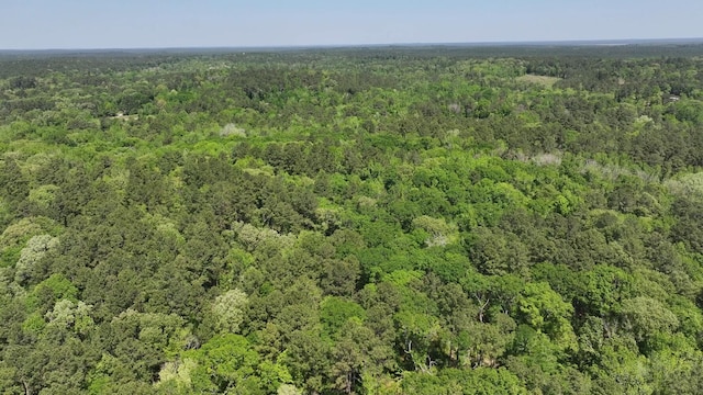 TBD-3 Felix Currie Rd, Point Blank, TX 77364 - photo 21
