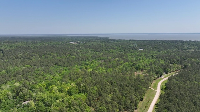 TBD-3 Felix Currie Rd, Point Blank, TX 77364 - photo 22