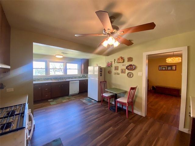 kitchen with dark wood-style flooring, a ceiling fan, a sink, dark brown cabinets, and white appliances