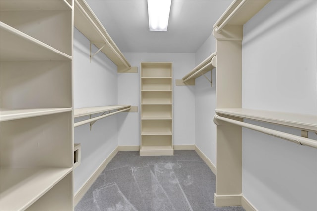 walk in closet with carpet