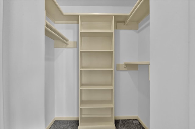 walk in closet featuring carpet floors