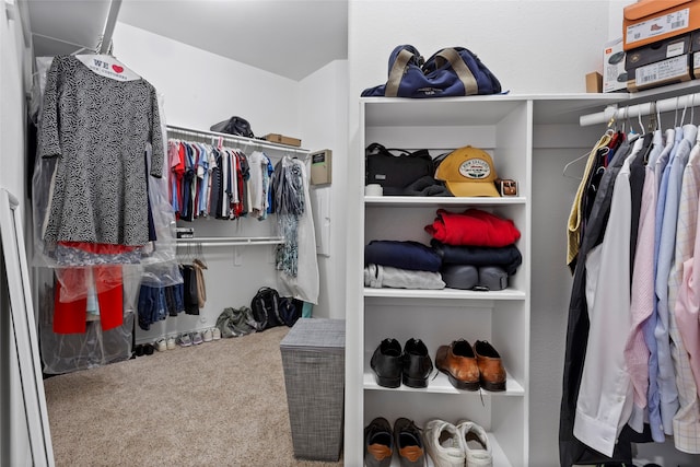 spacious closet featuring carpet flooring