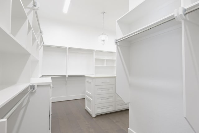 walk in closet featuring dark wood-style floors