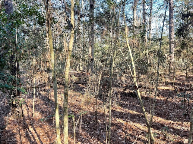 Listing photo 3 for TBD Josephine Rd, Livingston TX 77351