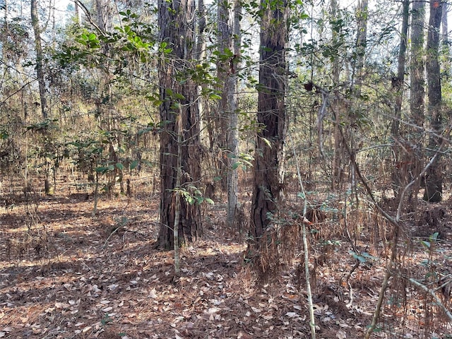 TBD Josephine Rd, Livingston TX, 77351 land for sale