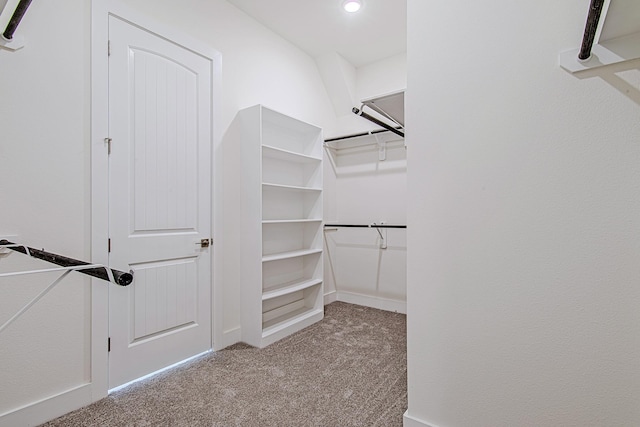 209 Peninsula Point Dr, Montgomery, TX 77356 - walk in closet with carpet