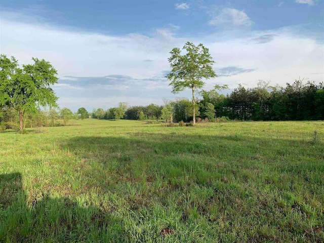 view of local wilderness with a rural view