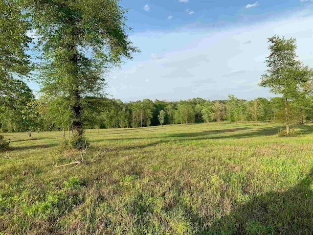 view of local wilderness with a forest view