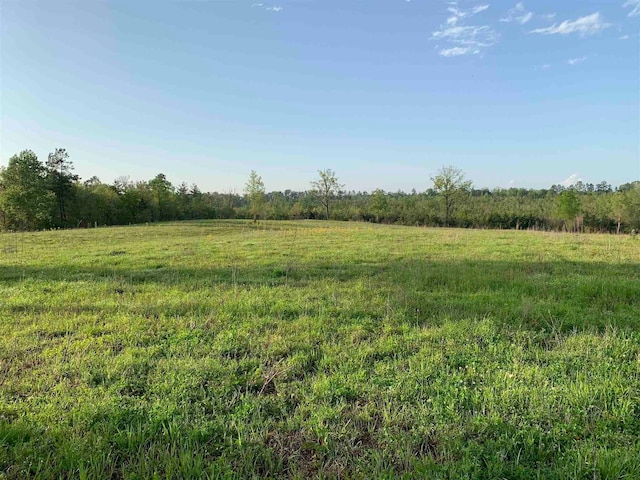 view of nature featuring a rural view