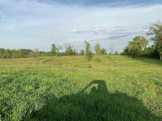 view of nature featuring a rural view