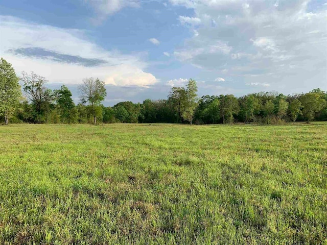 view of landscape featuring a rural view