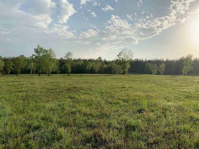 view of nature with a rural view