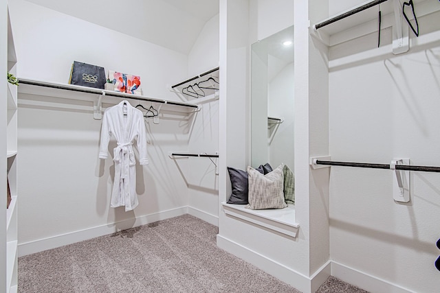 187 Peninsula Point Dr, Montgomery, TX 77356 - spacious closet featuring carpet floors and lofted ceiling