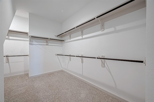 walk in closet featuring carpet