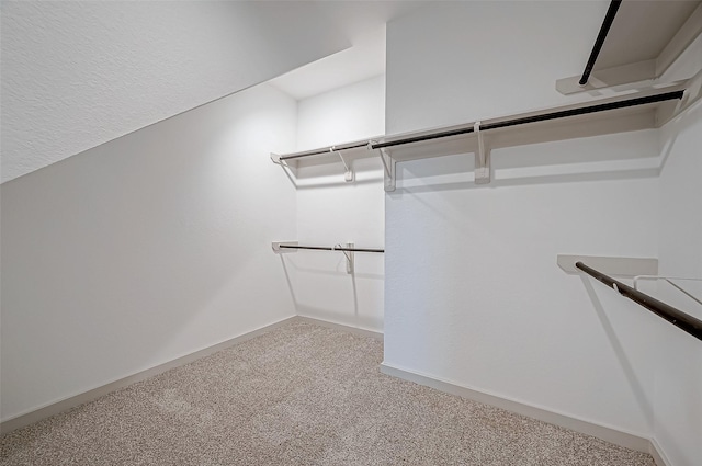 spacious closet featuring carpet flooring