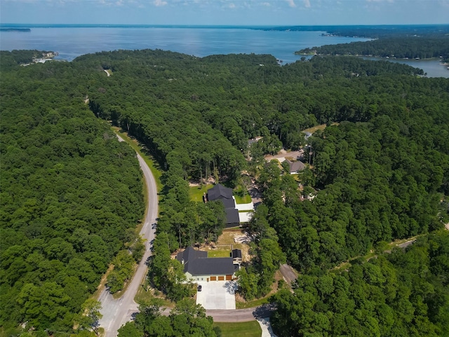 aerial view with a water view and a view of trees