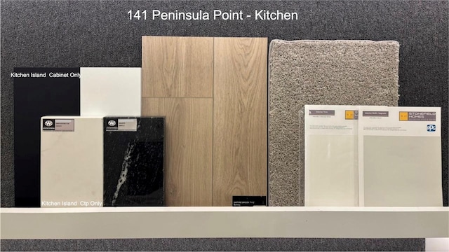 141 Peninsula Point Dr, Montgomery, TX 77356 - detailed view